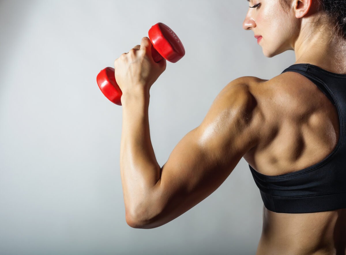 Développer vos muscles